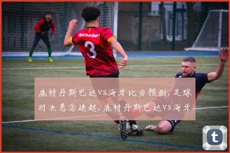 鹿特丹斯巴达vs海牙比分预测,足球对决悬念迭起,鹿特丹斯巴达vs海牙谁将胜出